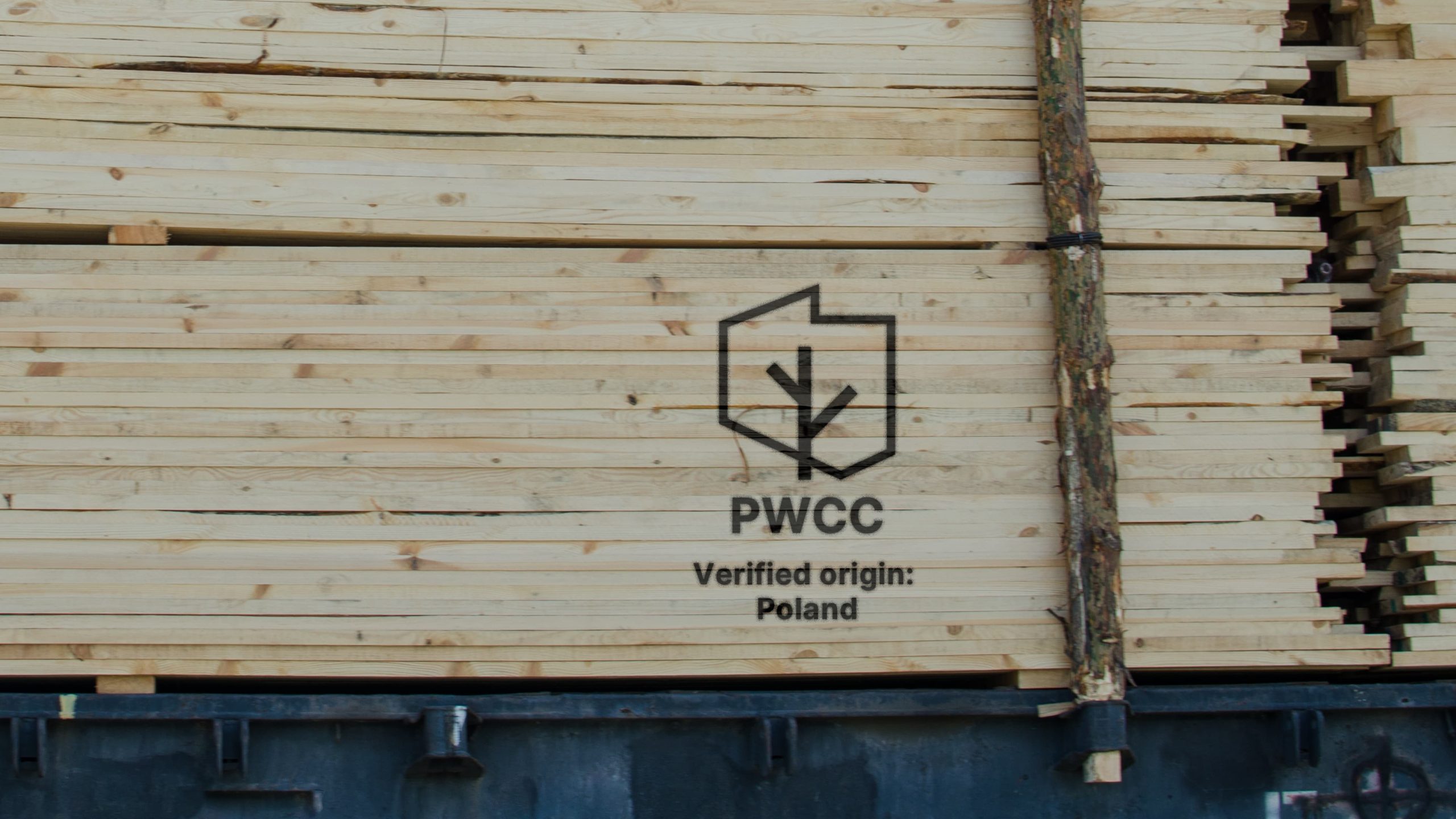 System certyfikacji PWCC dla branży drzewnej – dokumentacja i struktura